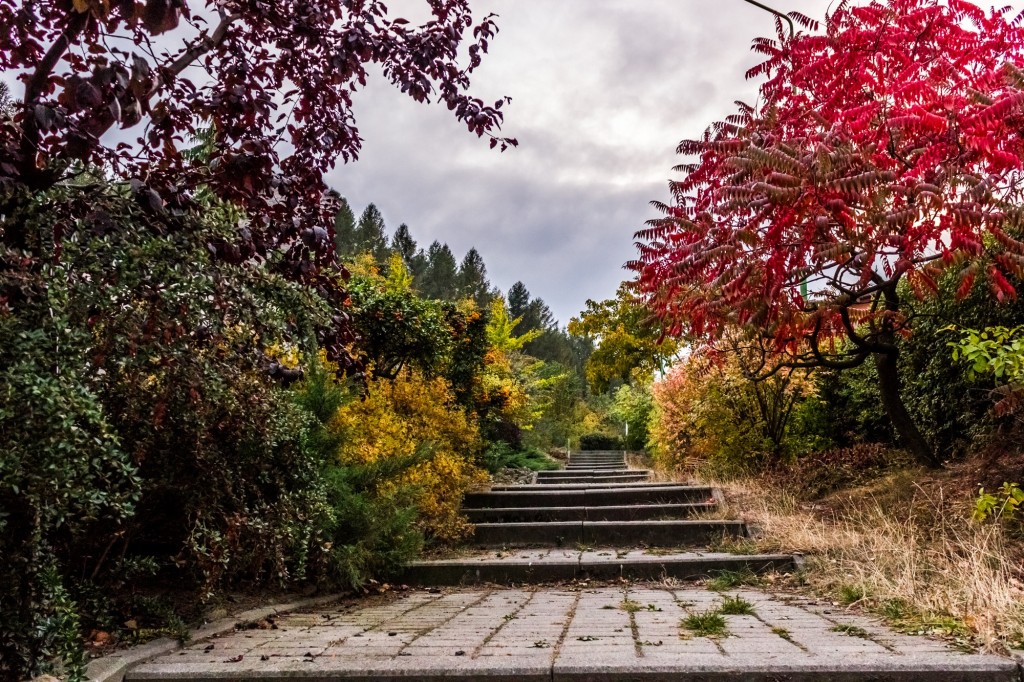 Walkway in Poland